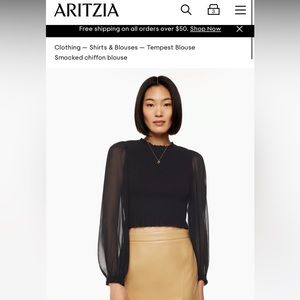 Aritzia Wilfred Tempest Blouse